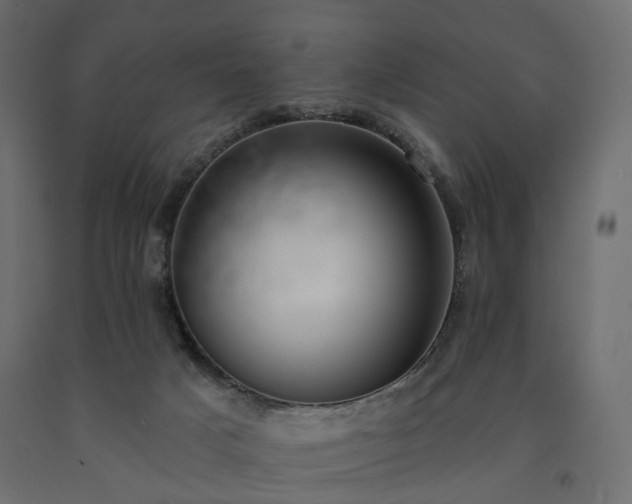 X0000091560025200708241825