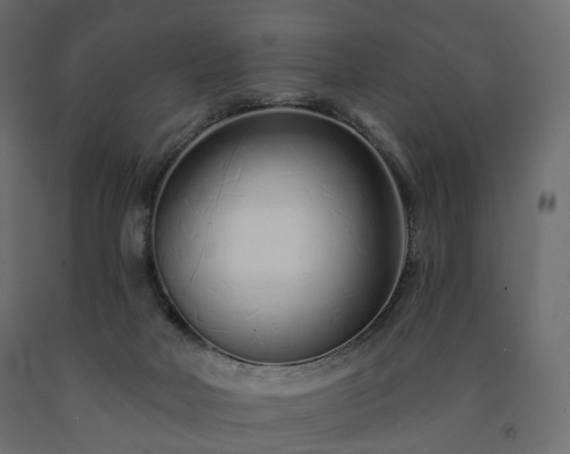 X0000091560026200708241825