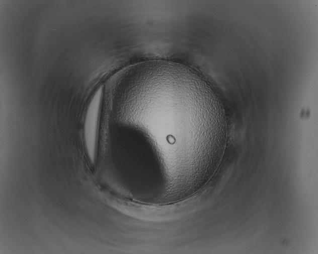 X0000091560027200708241825