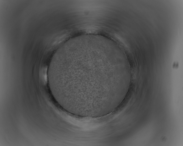 X0000091560028200708241825