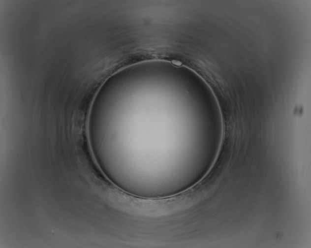 X0000091560030200708241825