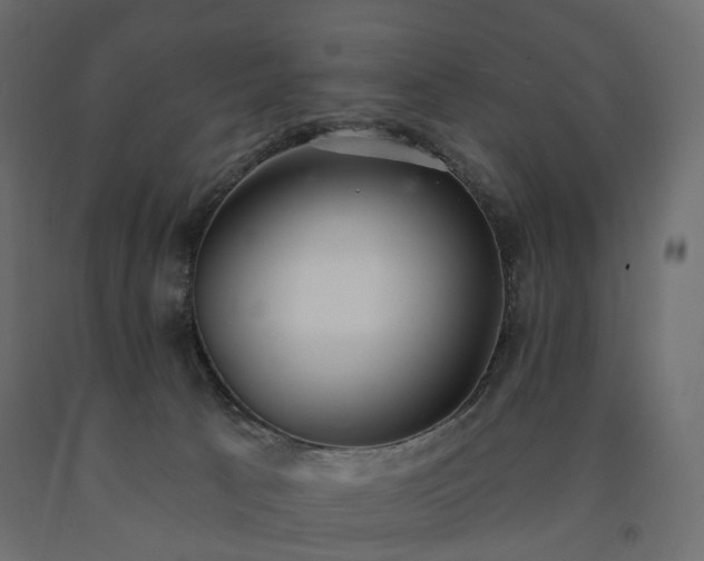 X0000091560033200708241825