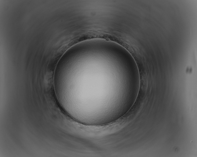 X0000091560034200708241825