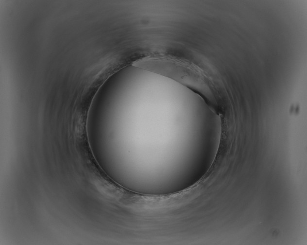 X0000091560037200708241825