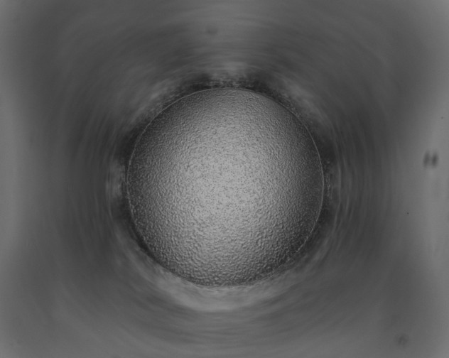 X0000091560038200708241825