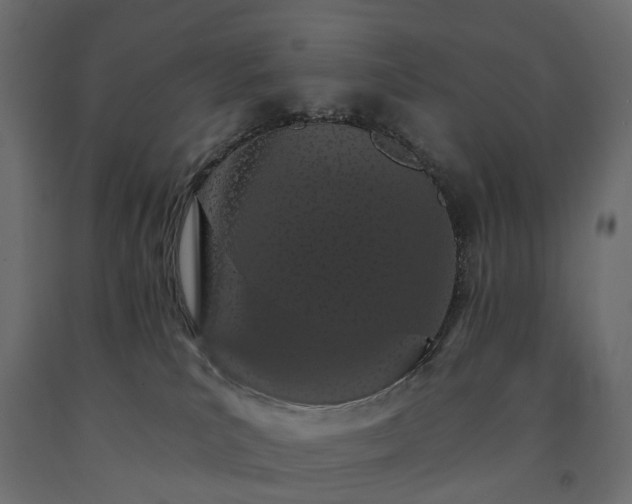 X0000091560039200708241825