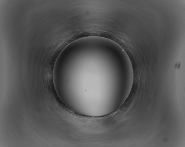 X0000091560040200708241825