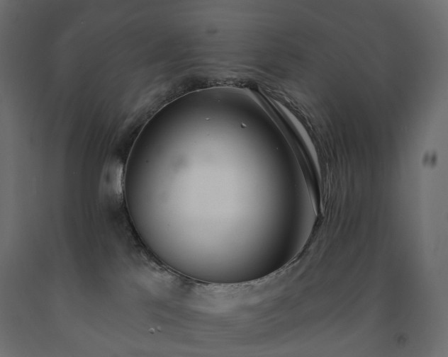 X0000091560041200708241825