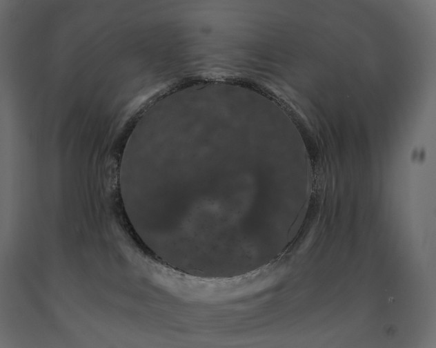 X0000091560043200708241825