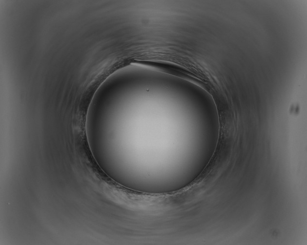 X0000091560044200708241825