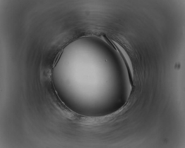 X0000091560045200708241825