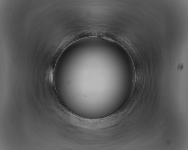 X0000091560046200708241825