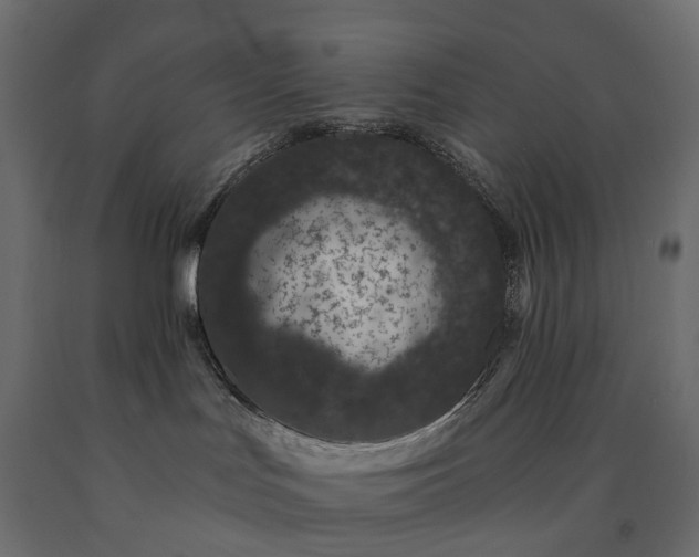 X0000091560047200708241825