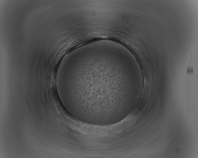 X0000091560048200708241825