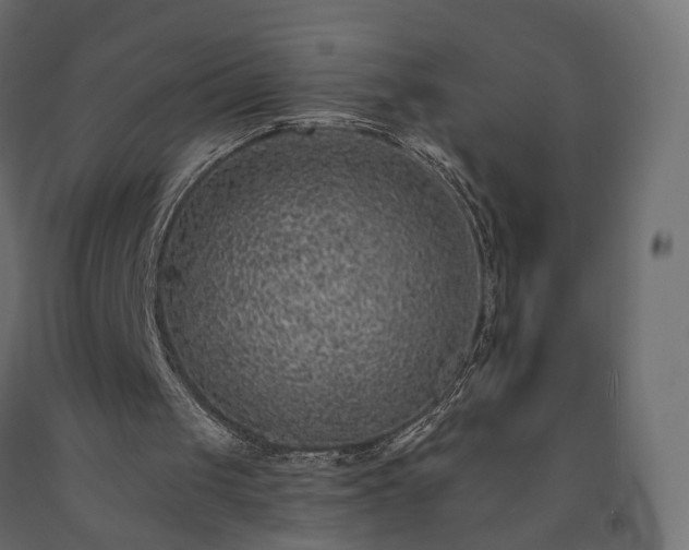 X0000091560049200708241824