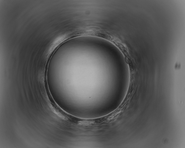 X0000091560051200708241824