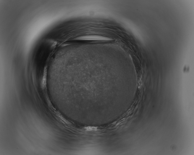 X0000091560052200708241824