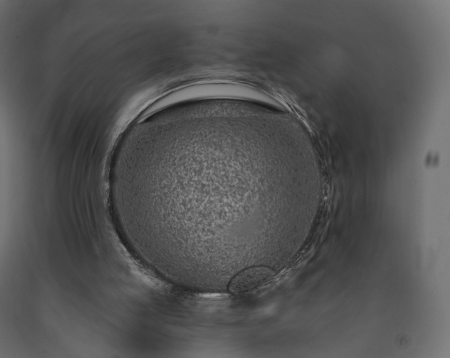 X0000091560053200708241824