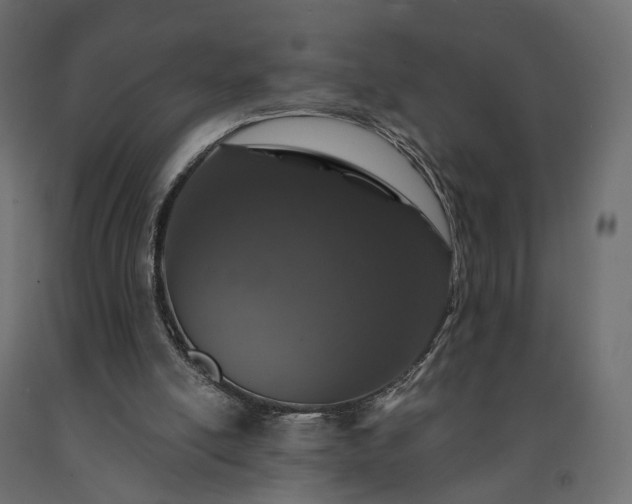 X0000091560054200708241824