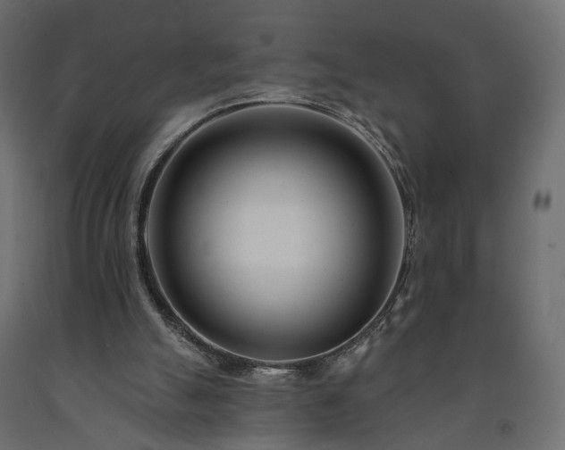 X0000091560055200708241824