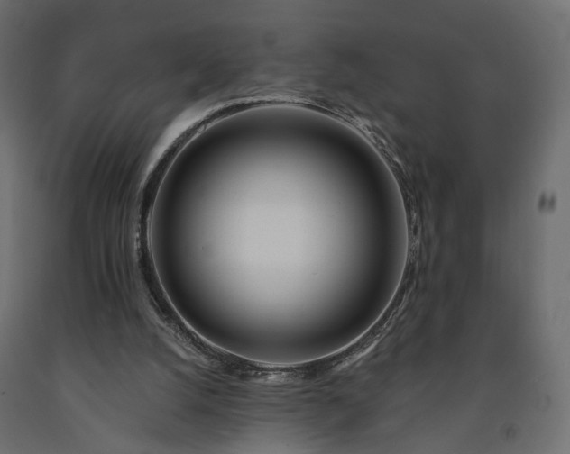 X0000091560056200708241824