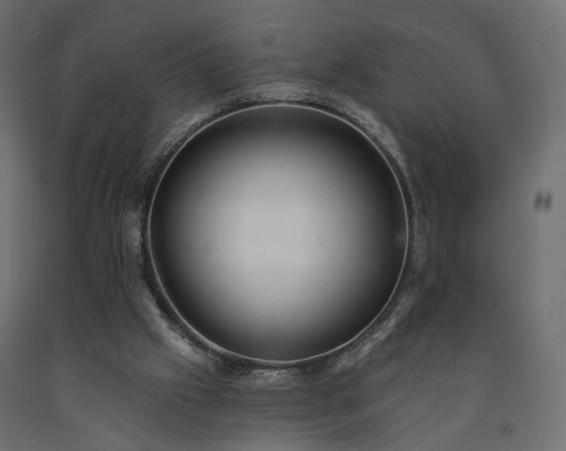 X0000091560057200708241824