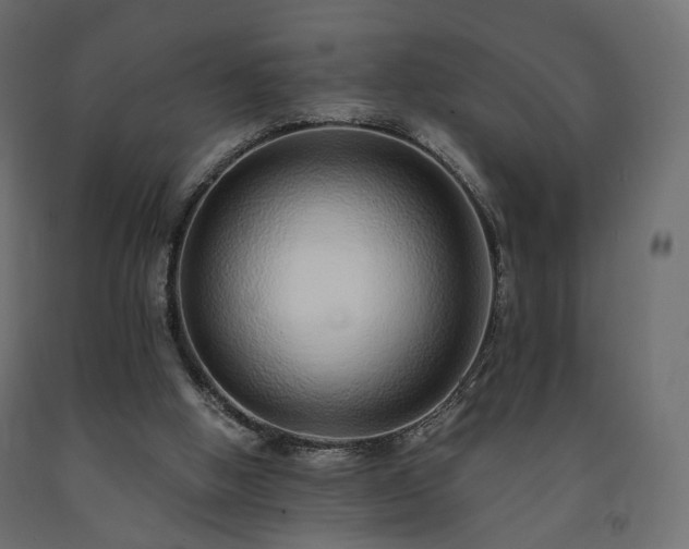 X0000091560058200708241824