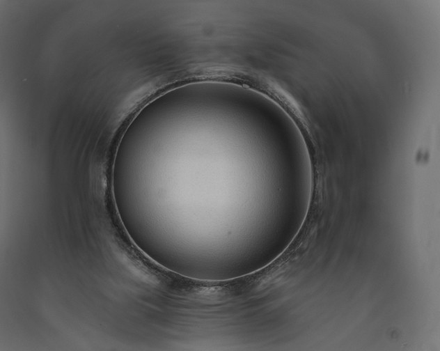 X0000091560059200708241824