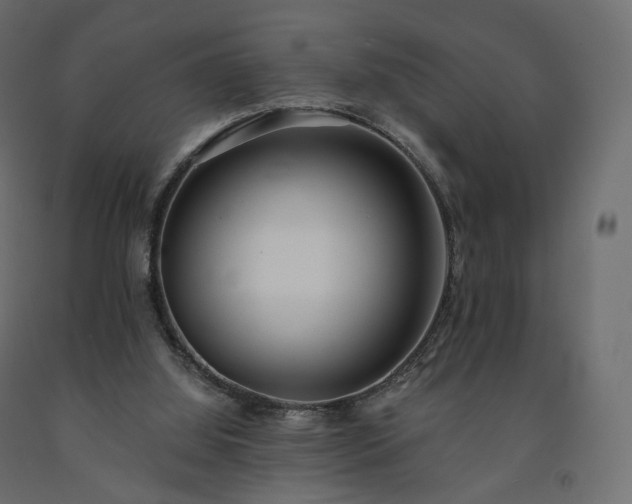 X0000091560060200708241824