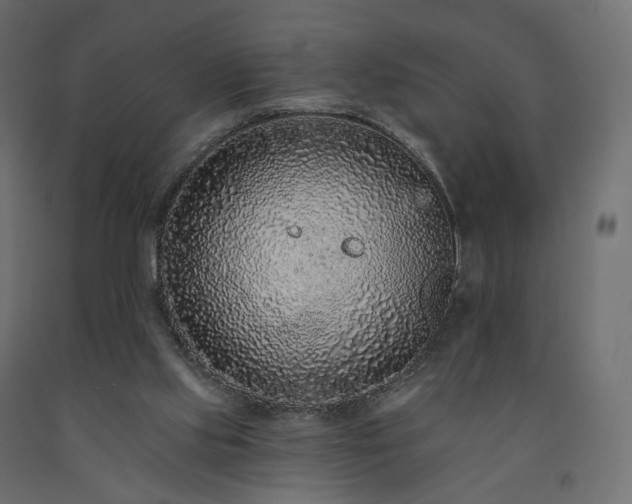 X0000091560061200708241824