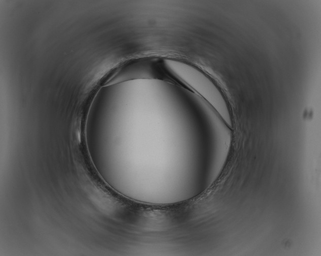 X0000091560062200708241824