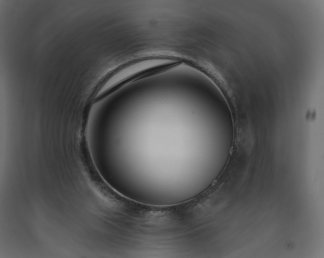 X0000091560063200708241824