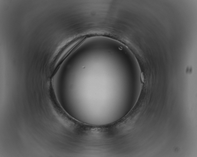 X0000091560064200708241824