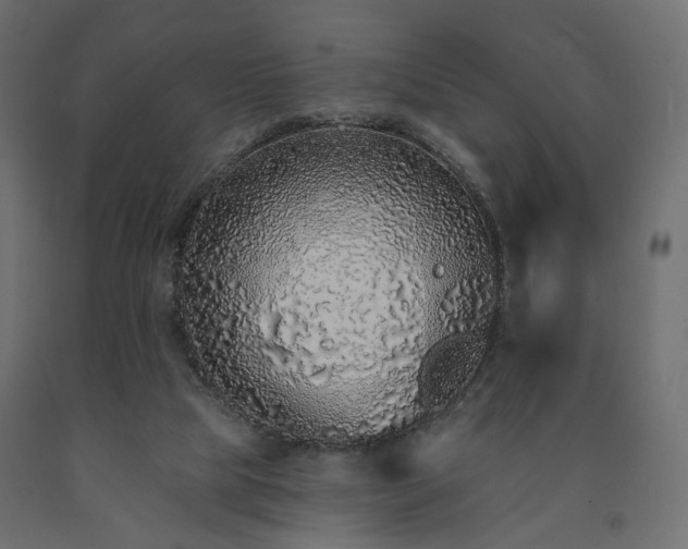 X0000091560065200708241824