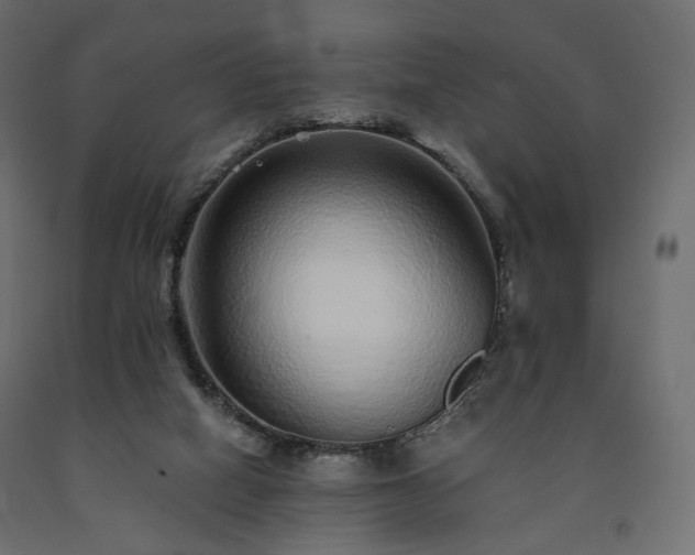 X0000091560066200708241824