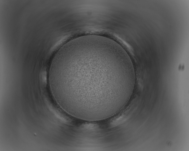 X0000091560067200708241824