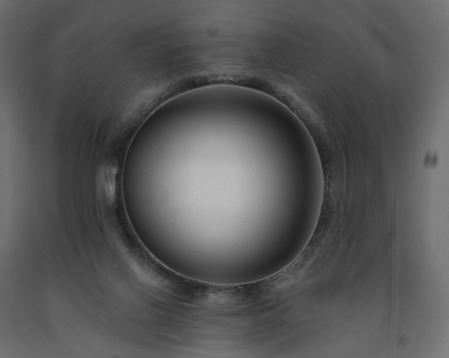 X0000091560070200708241824