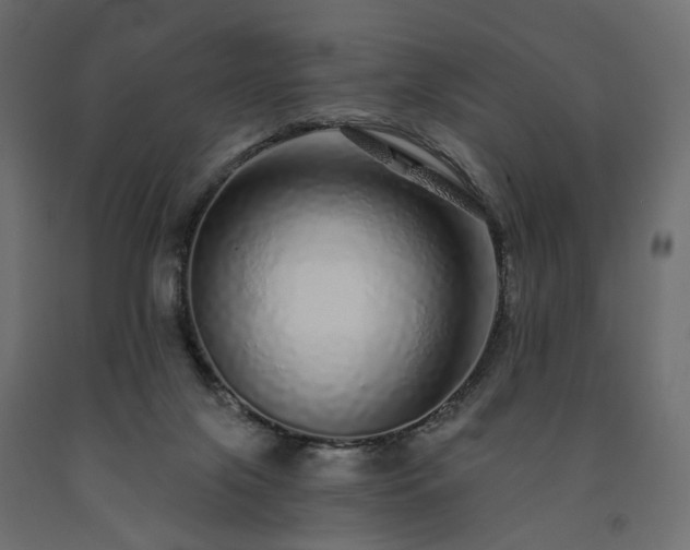 X0000091560071200708241824