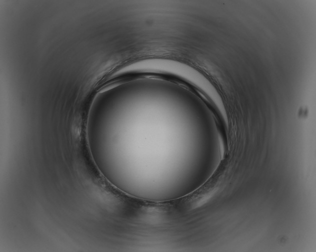 X0000091560072200708241824