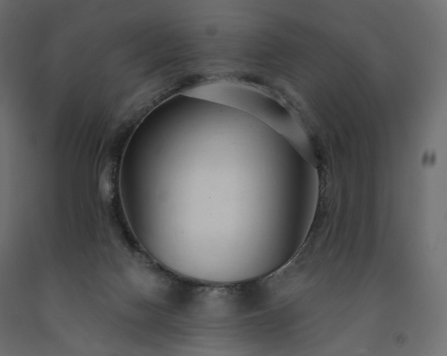 X0000091560074200708241824