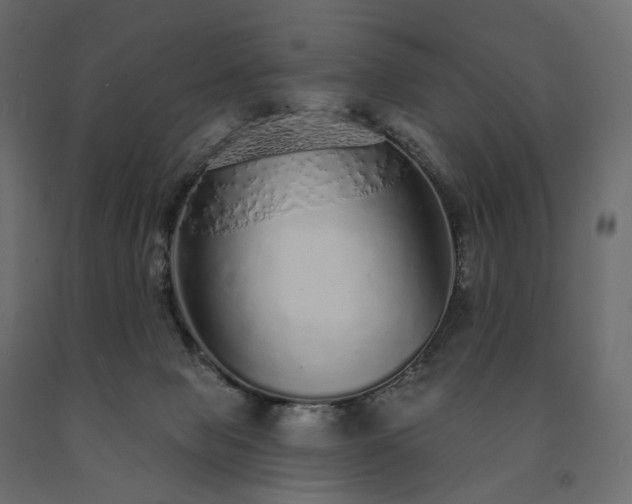 X0000091560077200708241824