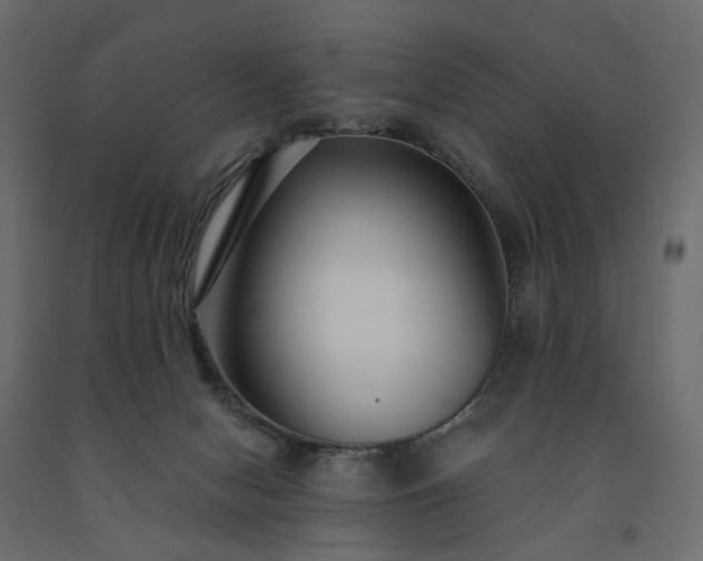 X0000091560078200708241824