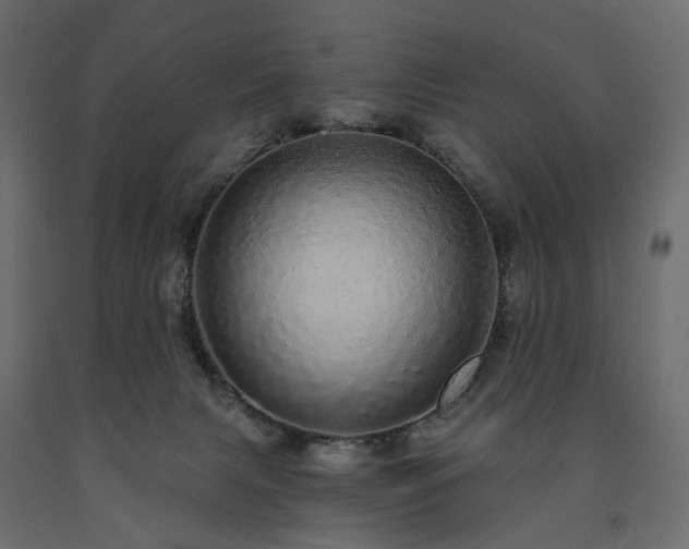 X0000091560079200708241825