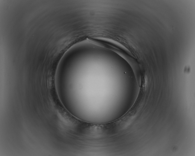 X0000091560080200708241825