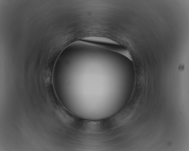 X0000091560081200708241825