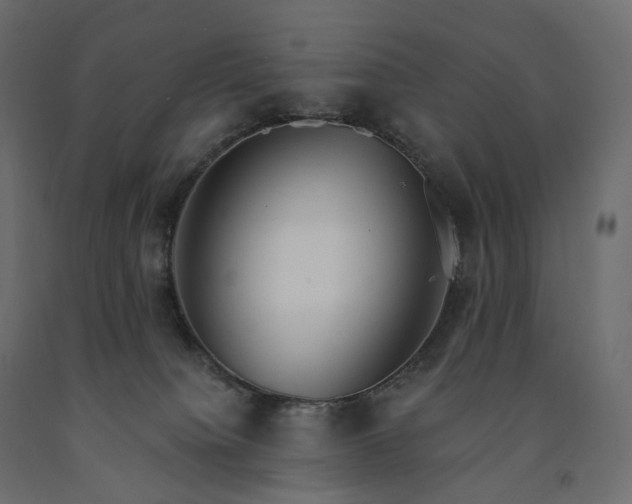 X0000091560084200708241825