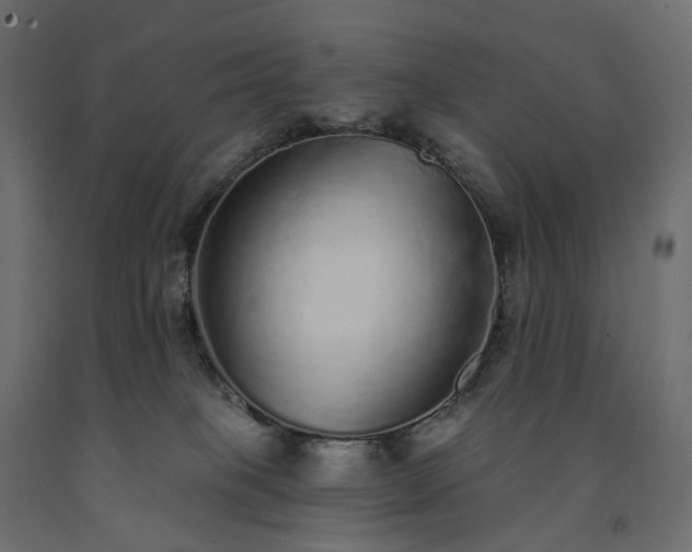 X0000091560085200708241825