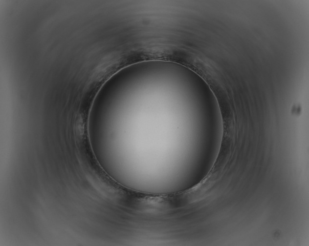 X0000091560086200708241825