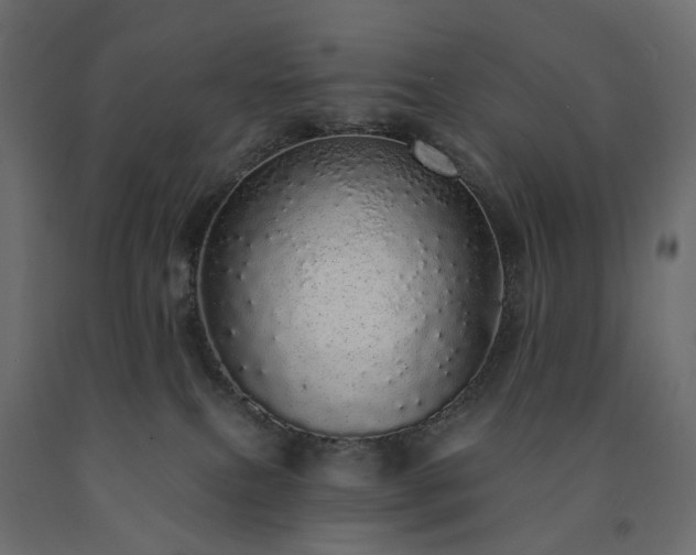 X0000091560087200708241825