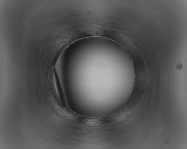 X0000091560088200708241825